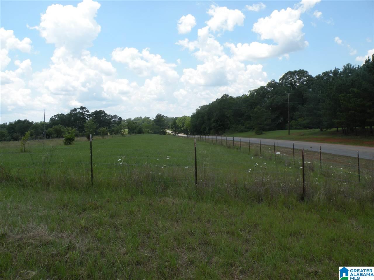 8215 Plant Road Alpine, AL 35014 - Photo 37 of 48 Gallery Image 37