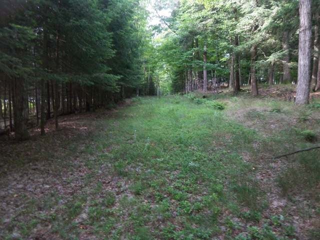 1225 Deer Path Phelps, WI 54554 - Photo 2 of 9 Gallery Image 2