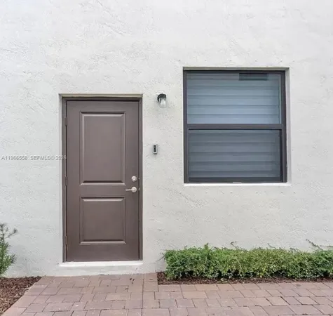 a potted plant in front of a door