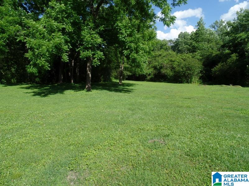 31 County Road 472 Heflin, AL 36264 - Photo 41 of 46