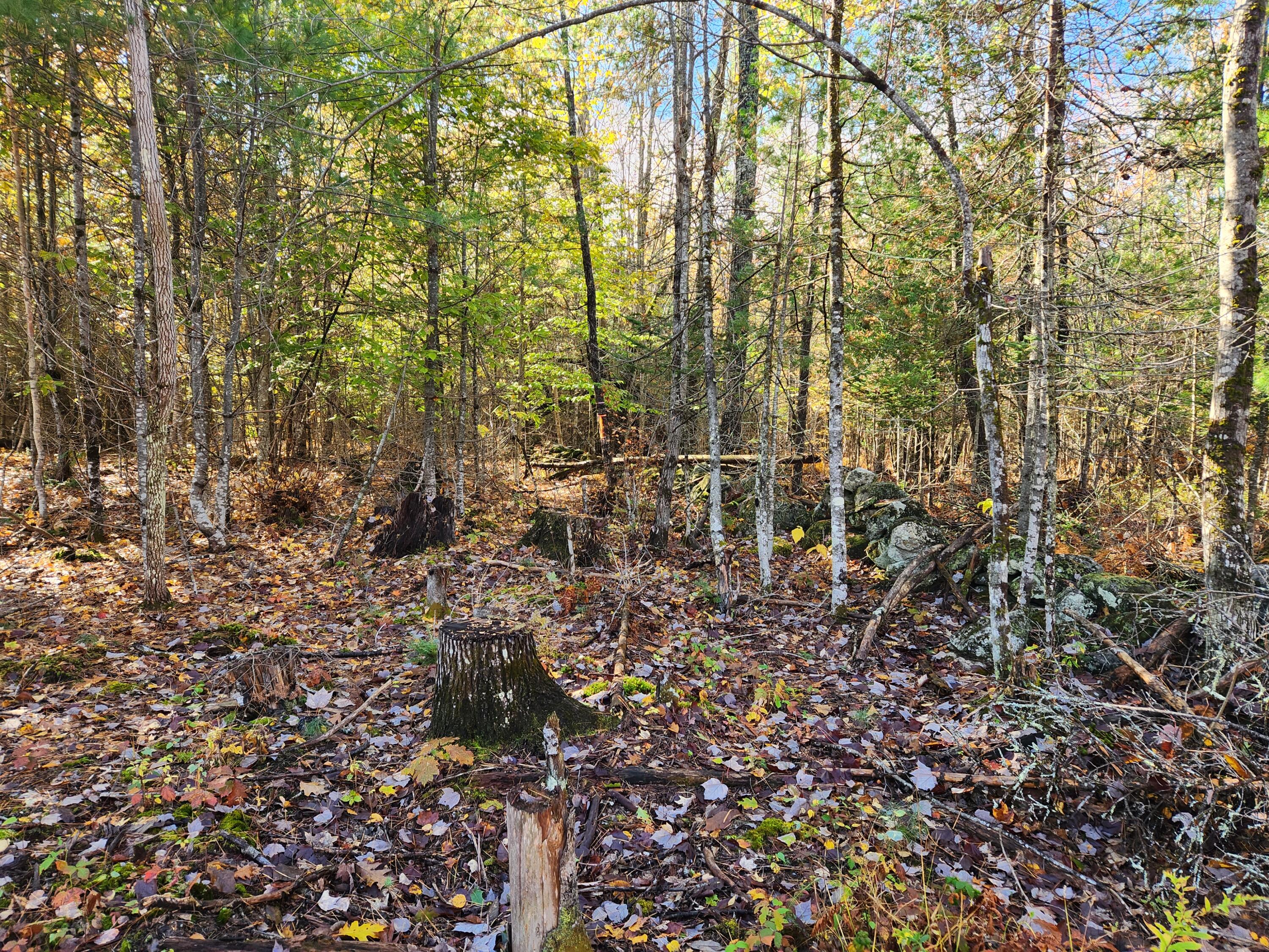 6 C Old Sumner Road Buckfield, ME 04220 - Photo 6 of 20 20221015_104946