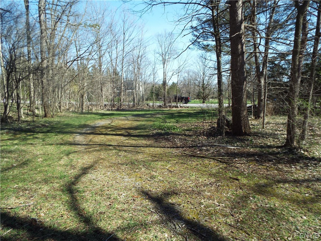 8321 Salt Springs Road Manlius, NY 13104 - Photo 1 of 1 Gallery Image 1