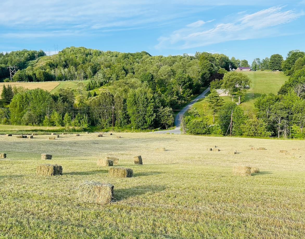 2853 Witherspoon Road Ryegate, VT 05069 - Photo 31 of 38
