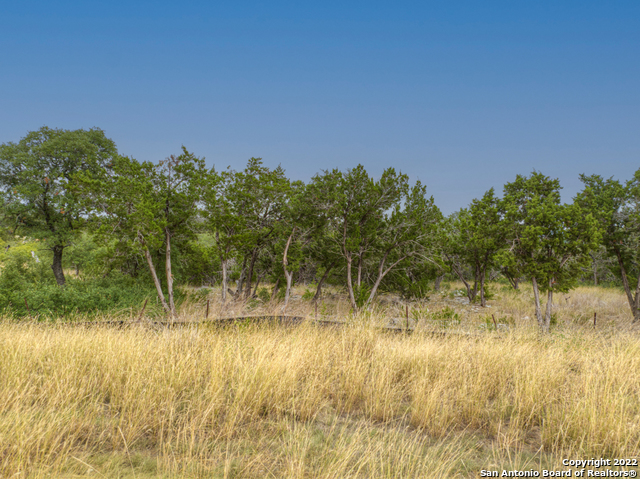 615 Carson Ridge New Braunfels, TX 78132 - Photo 11 of 15
