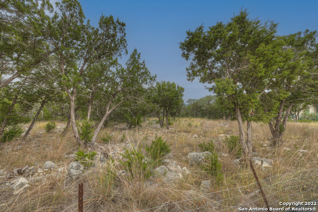 615 Carson Ridge New Braunfels, TX 78132 - Photo 12 of 15