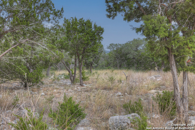 615 Carson Ridge New Braunfels, TX 78132 - Photo 13 of 15