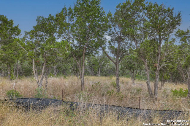 615 Carson Ridge New Braunfels, TX 78132 - Photo 14 of 15