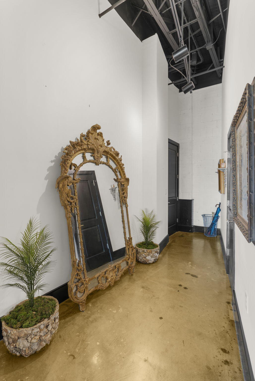 517 King Street, Unit 7 Charleston, SC 29403 - Photo 63 of 75 94-web-or-mls-DSC08683