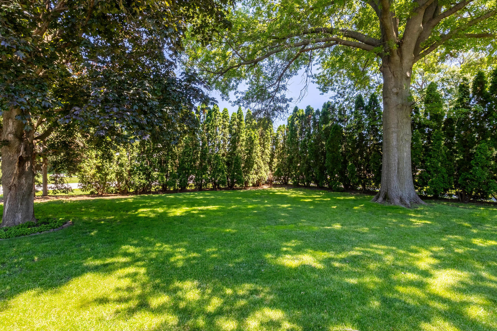 6205 West Kimberly Road Davenport, IA 52806 - Photo 4 of 39