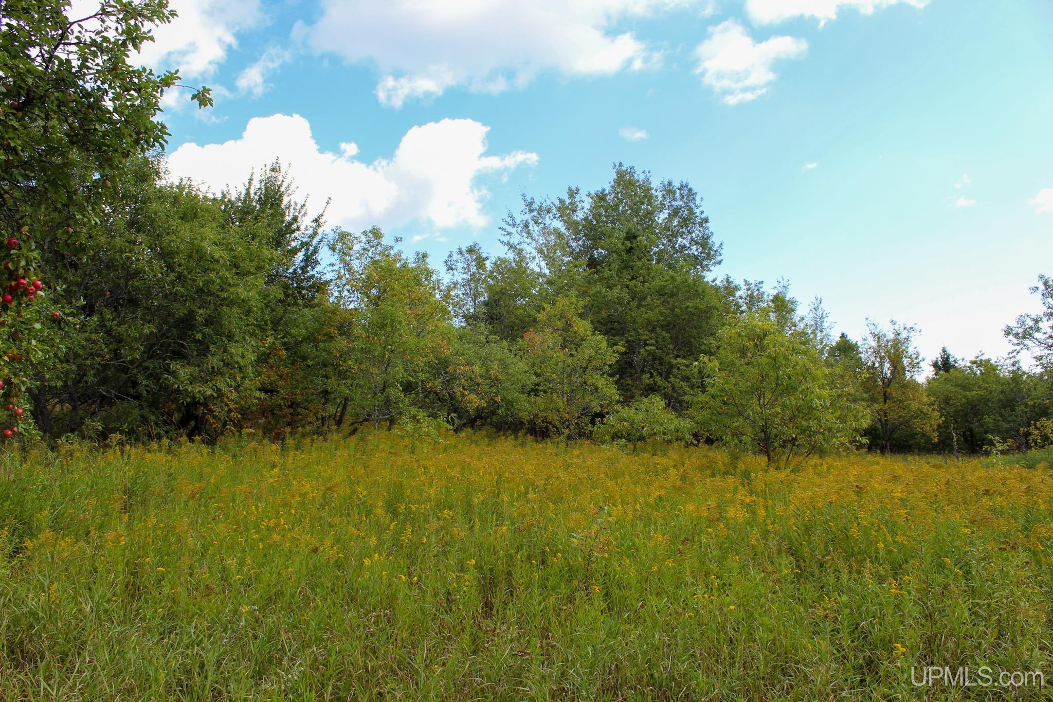 Tbd Michaelson Road Pelkie, MI 49958 - Photo 13 of 73 Gallery Image 13