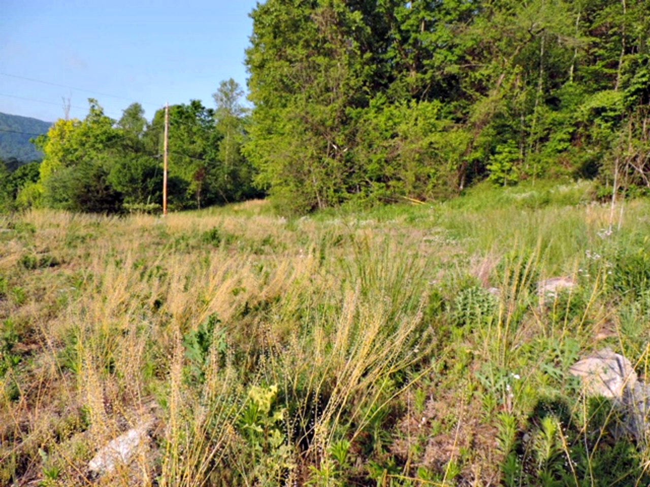 2575 Rackum Road Thorn Hill, TN 37881 - Photo 3 of 34 Gallery Image 3