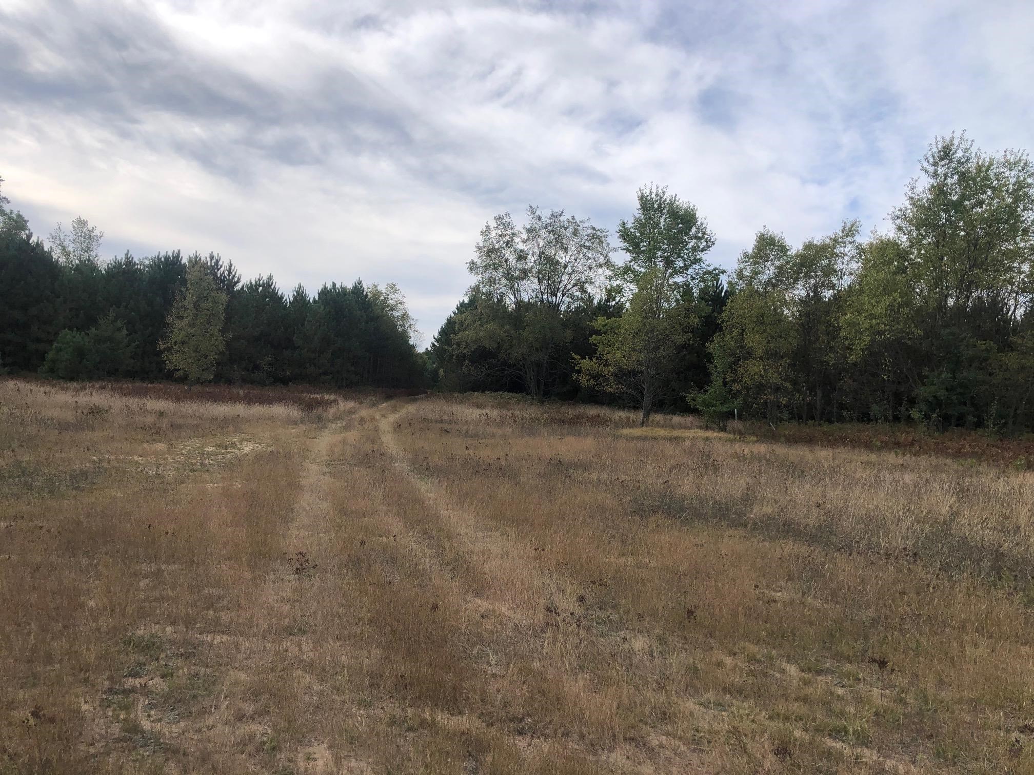 53-acres Potter Road Kaleva, MI 49645 - Photo 23 of 30 Gallery Image 23