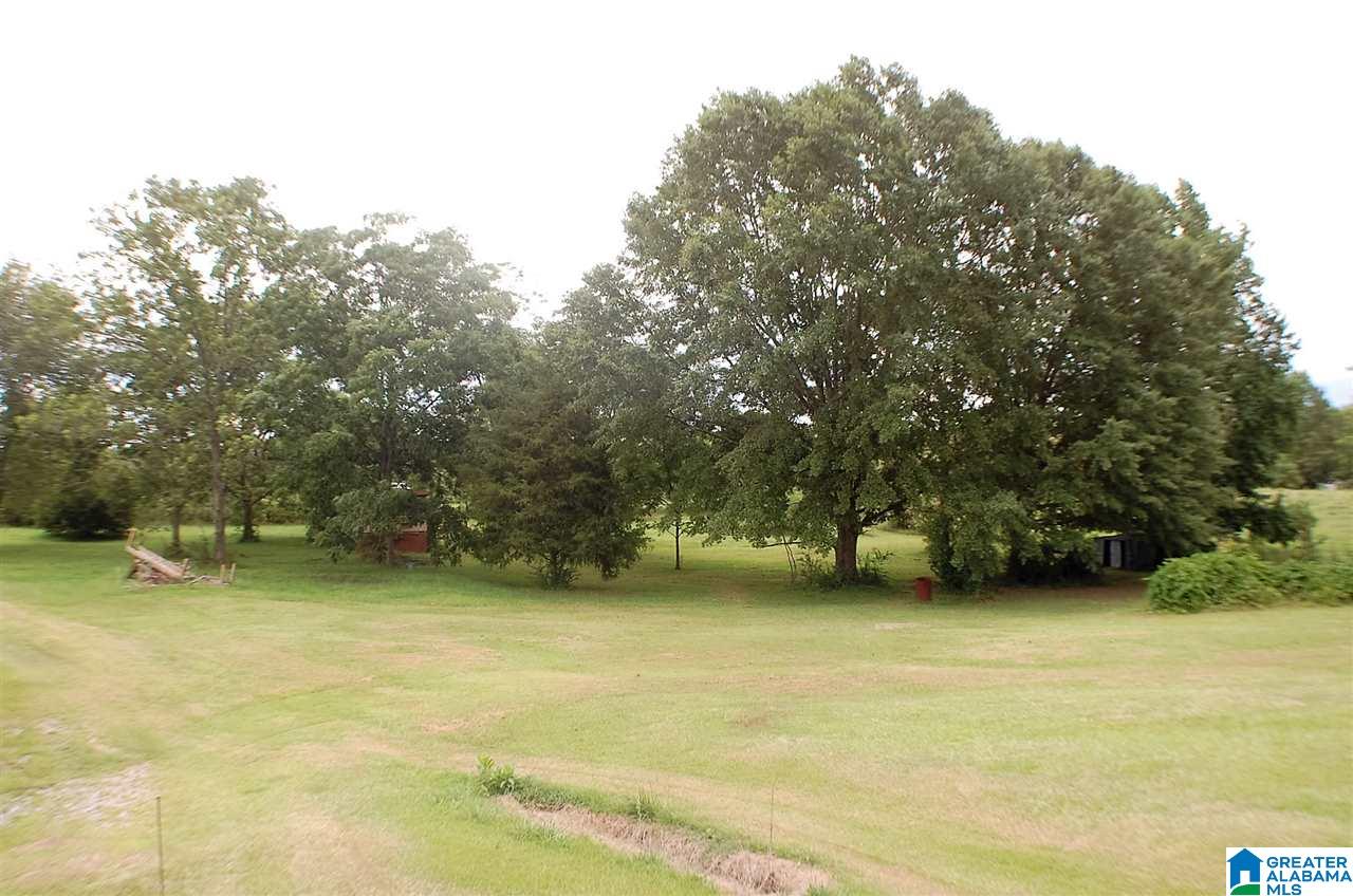 155 County Road 177 Jemison, AL 35085 - Photo 10 of 34