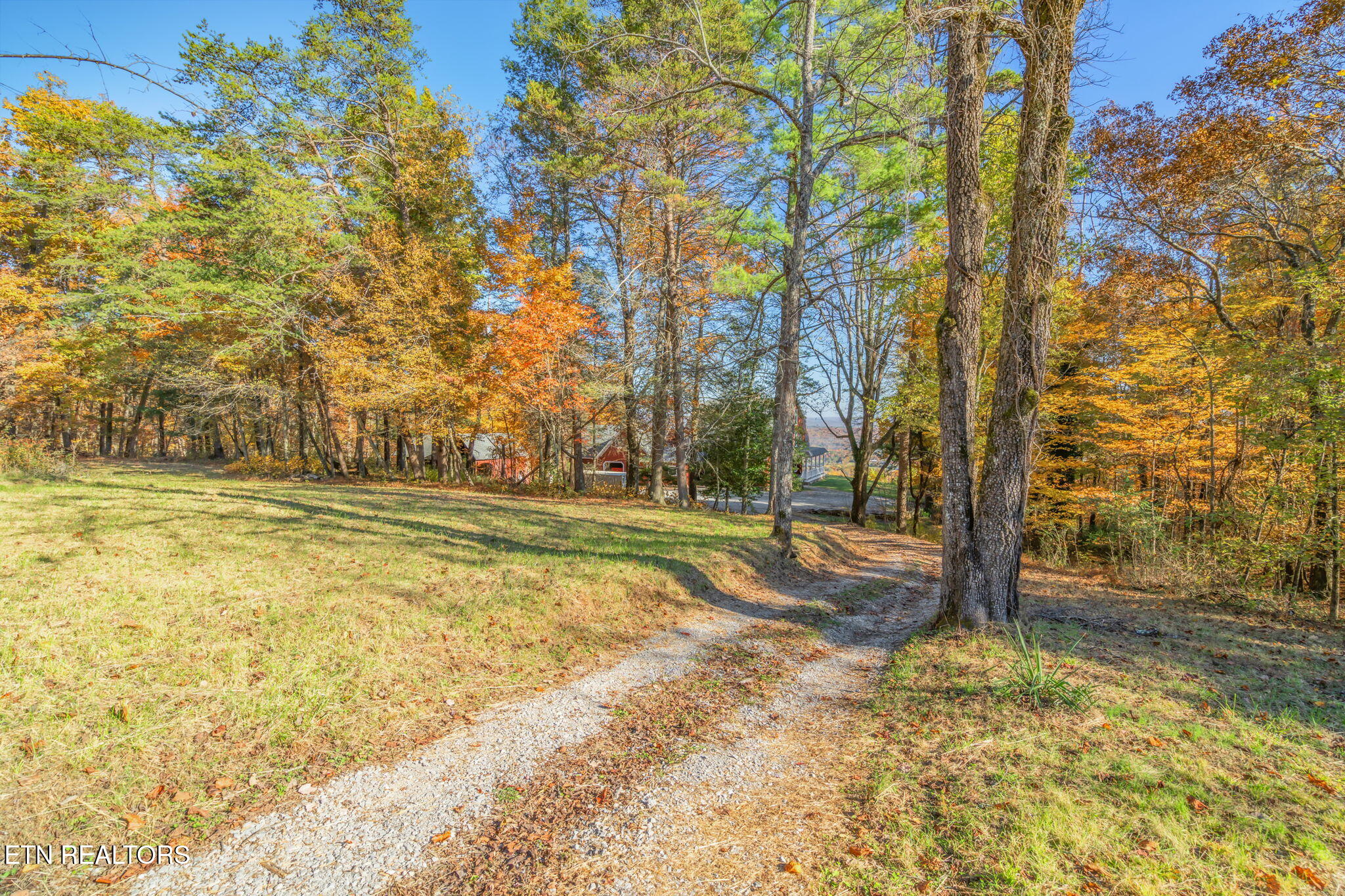 692 Possum Trot Road Grandview, TN 37337 - Photo 2 of 60 50-web-or-mls-692 Possum Trot-48