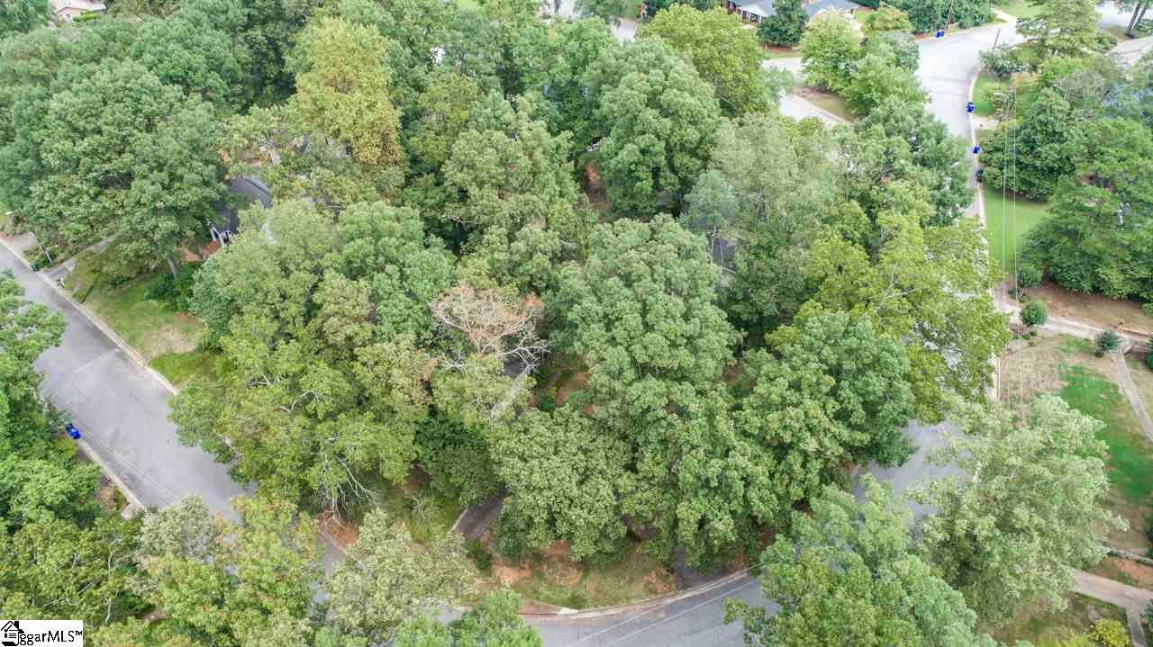 347 Pimlico Road Greenville, SC 29607 - Photo 25 of 28