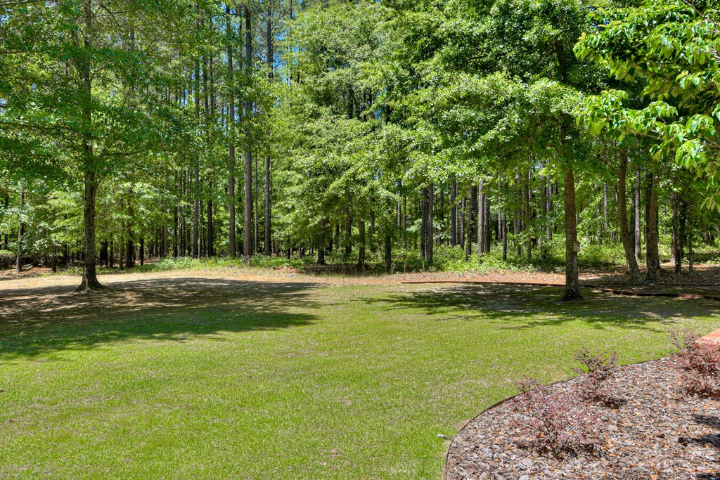 470 Anderson Pond Road Aiken, SC 29803 - Photo 51 of 72 Gallery Image 51