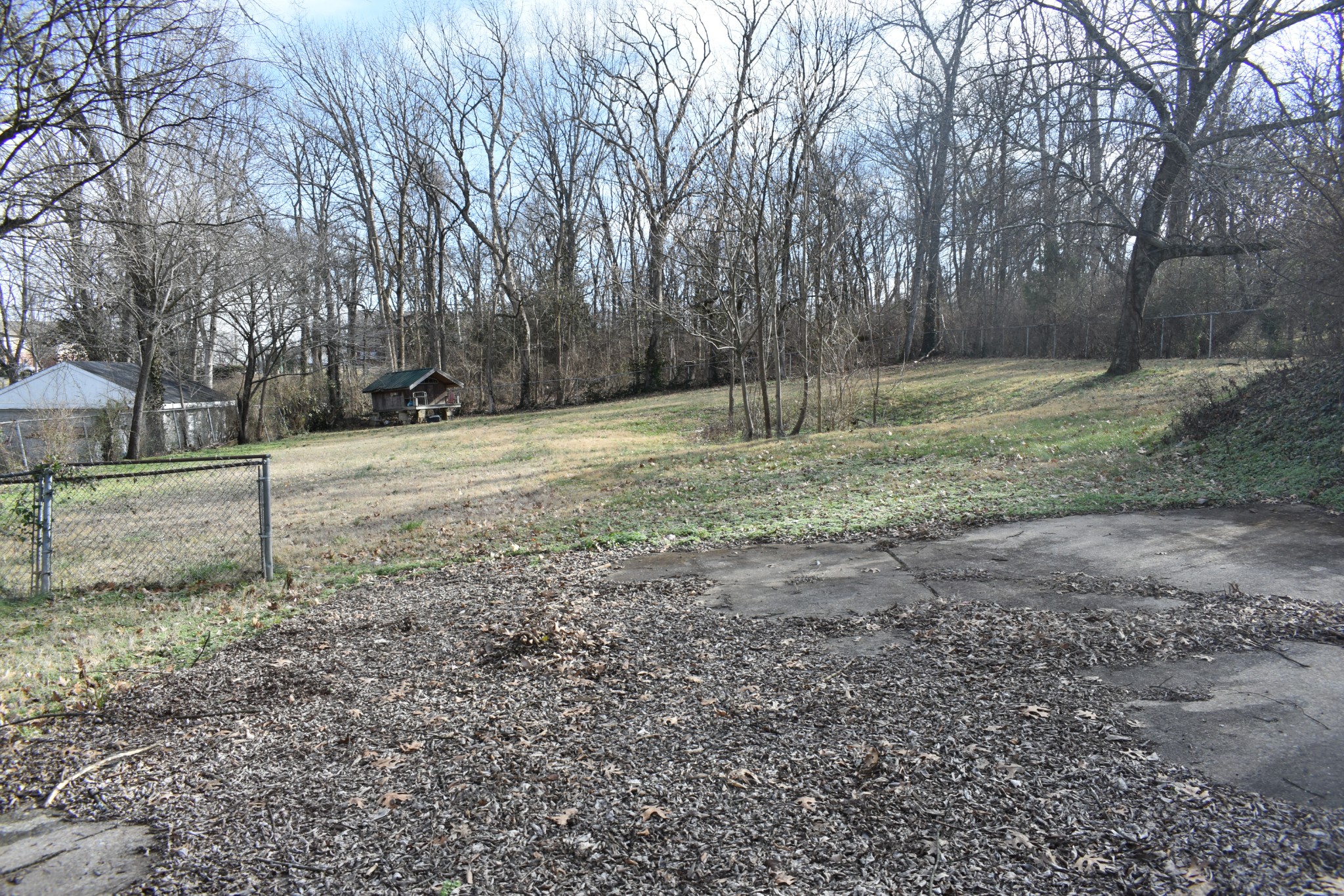 141 Hillcrest Drive Madison, TN 37115 - Photo 4 of 18 a backyard of a house with lots of green space
