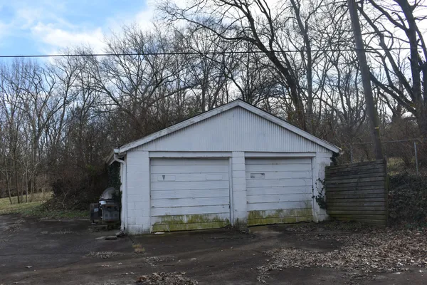 a view of a yard with a tree