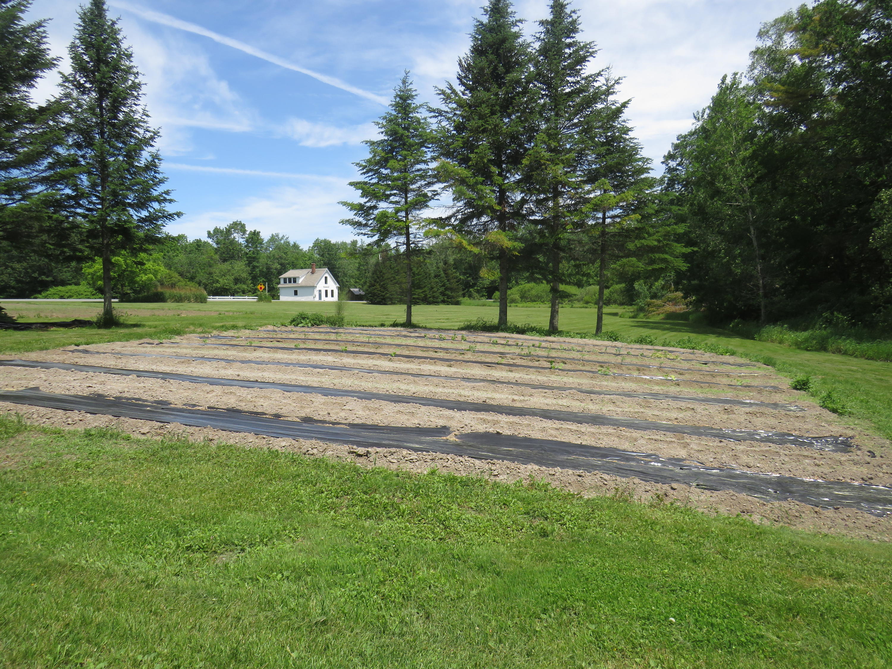 1257 North North Pond Road Warren, ME 04864 - Photo 6 of 57 IMG_1176
