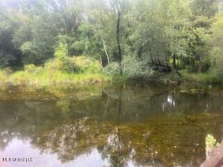 Rault Drive Lumberton, MS 39455 - Photo 5 of 7 IMG_0097