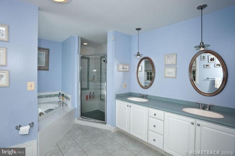 305 West Wind Road Towson, MD 21204 - Photo 8 of 20 Master Bath