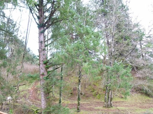 Tl#1008 Bel Air Road Cloverdale, OR 97112 - Photo 4 of 20 P1080329