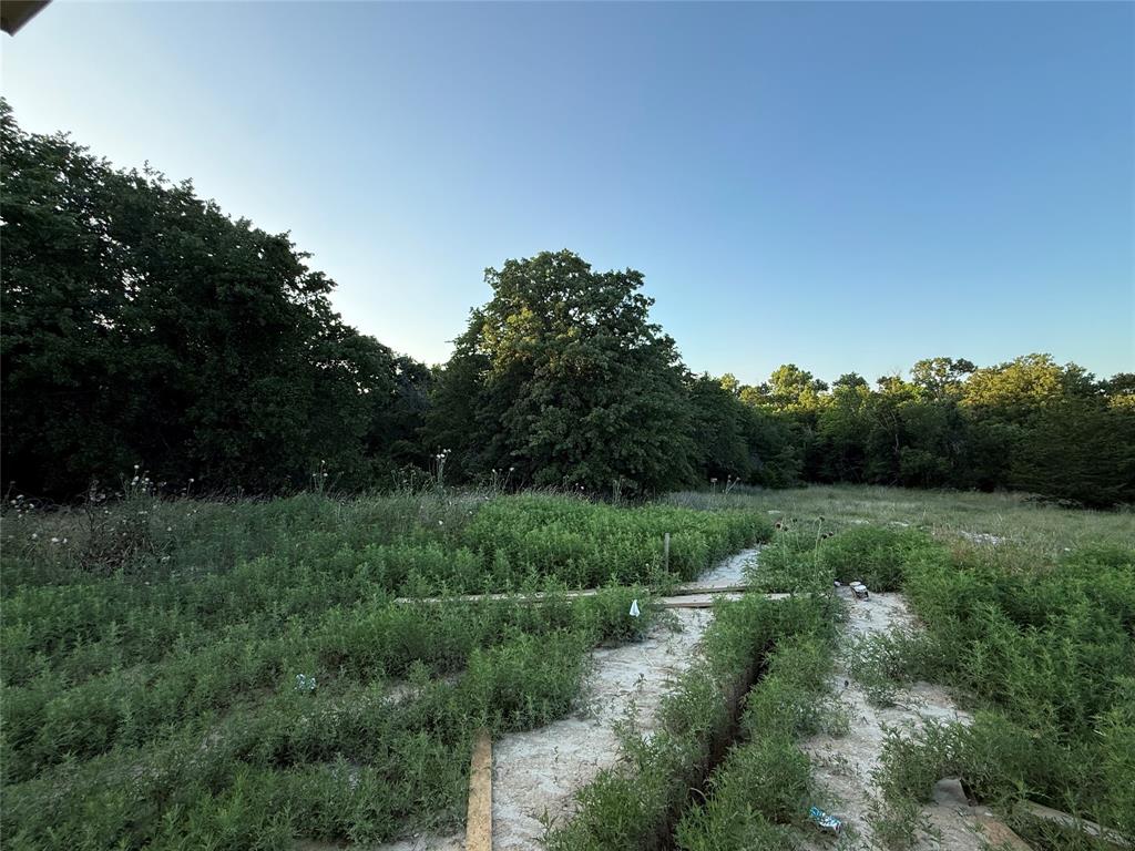 281 Zebrastone Way Poolville, TX 76487 - Photo 9 of 9