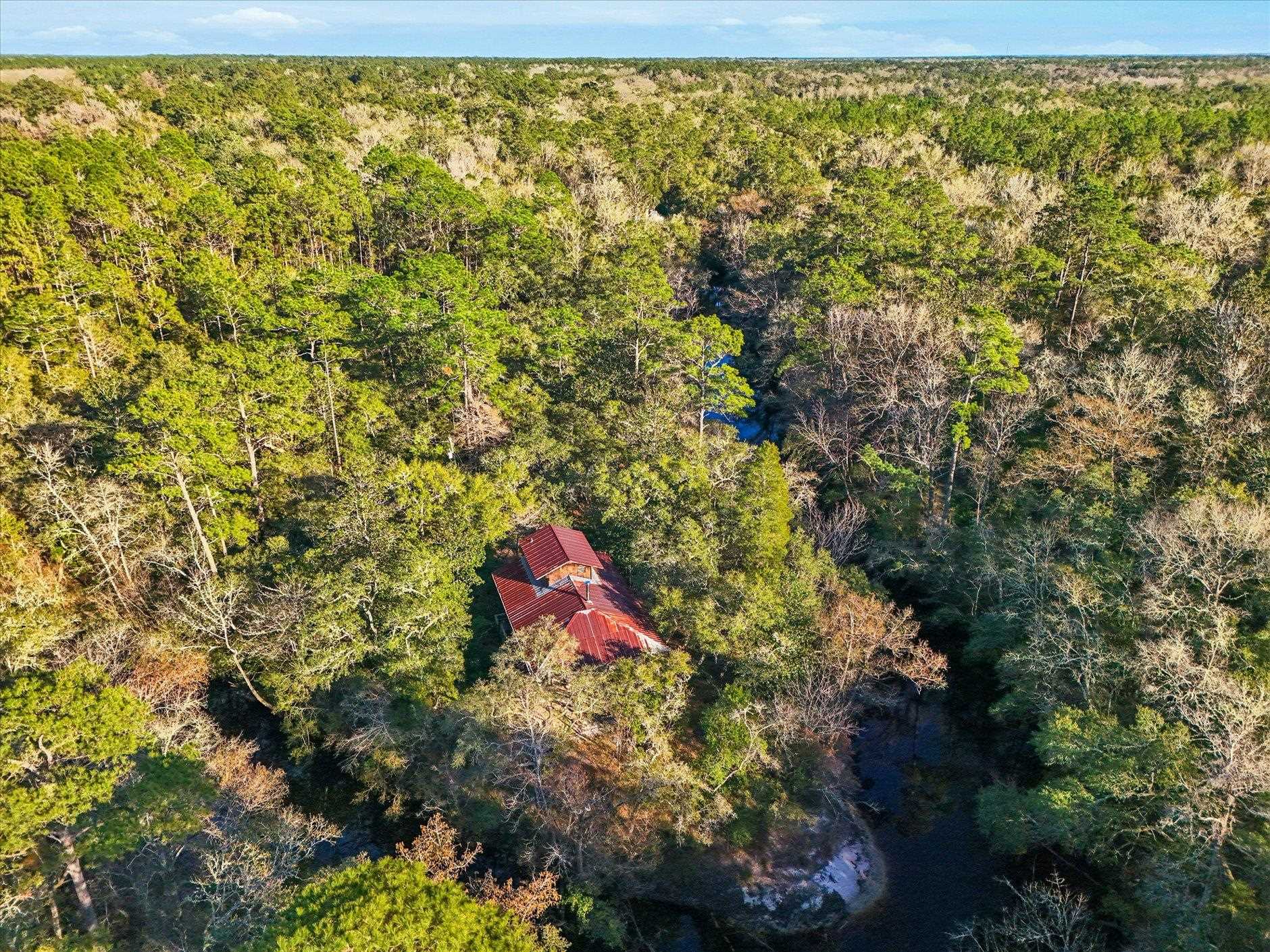 14 Lizard Lane Sopchoppy, FL 32358 - Photo 35 of 36