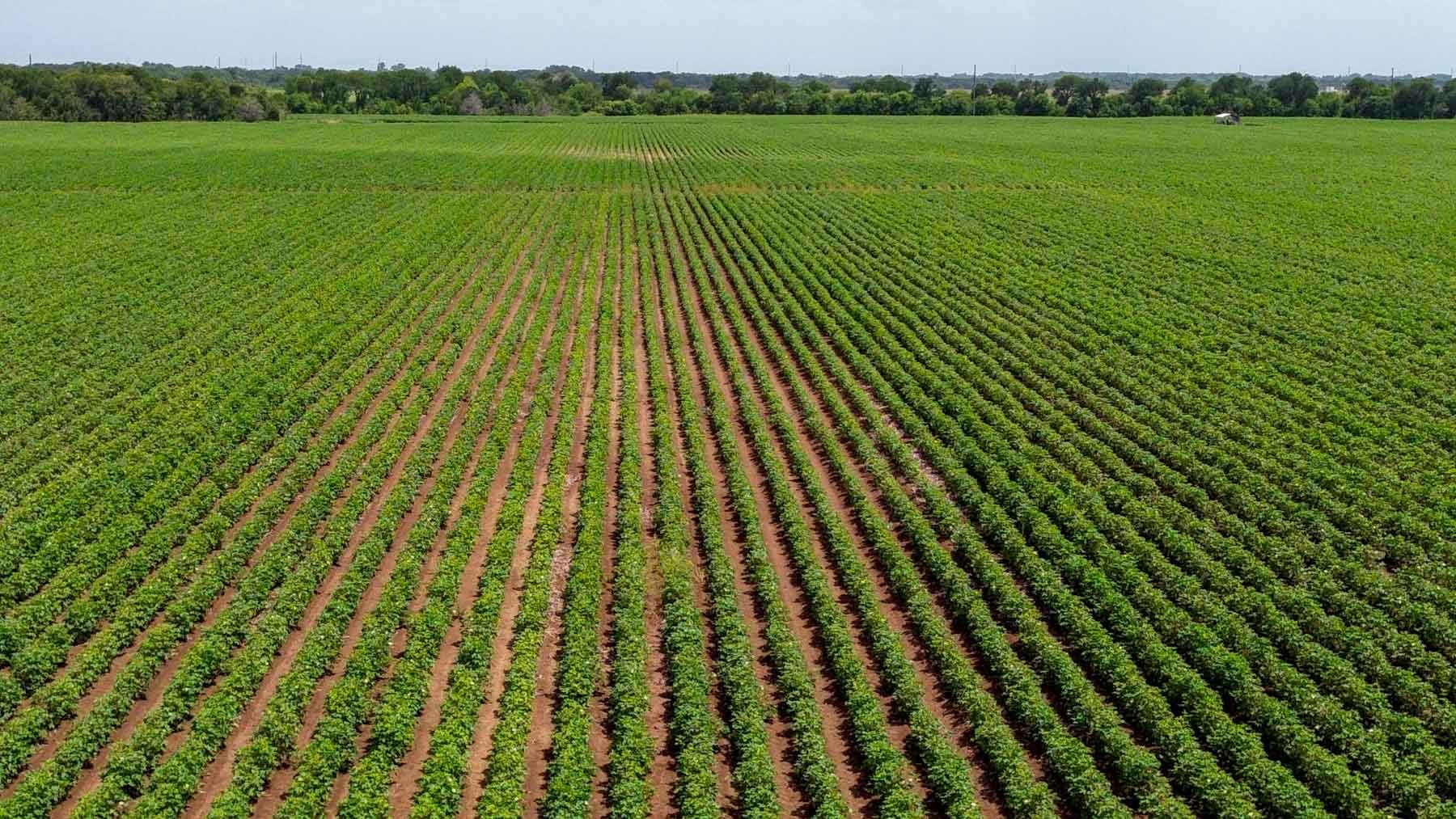 0 Sims Lane Bryan, TX 77807 - Photo 19 of 27