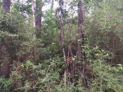 $50,000 | 29322 Paquet Road, Lacombe, LA 70445