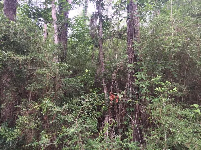 $50,000 | 29322 Paquet Road, Lacombe, LA 70445