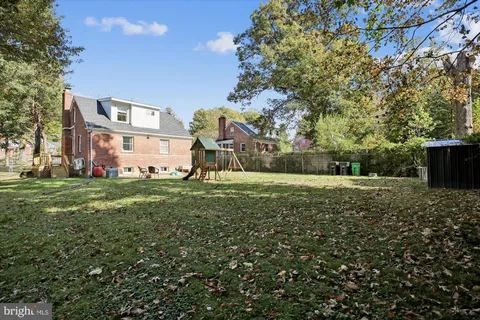 a view of a yard with plants and large trees