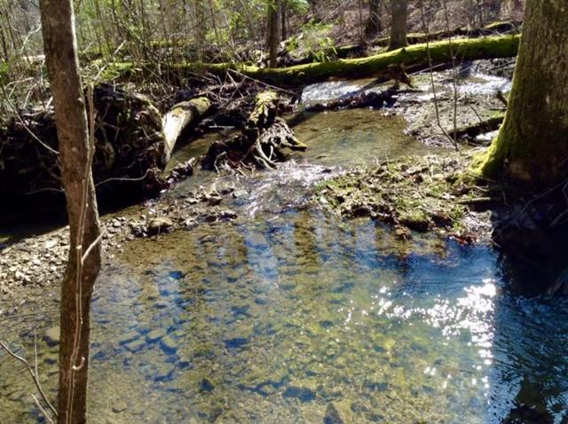 720 Miller Road Signal Mountain, TN 37377 - Photo 82 of 118 Creek