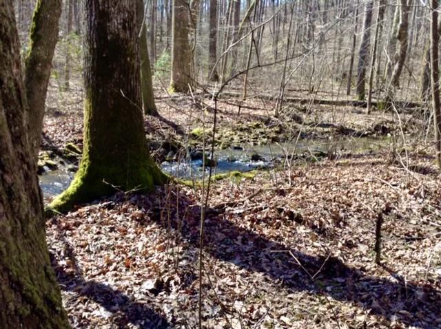 720 Miller Road Signal Mountain, TN 37377 - Photo 84 of 118 Creek