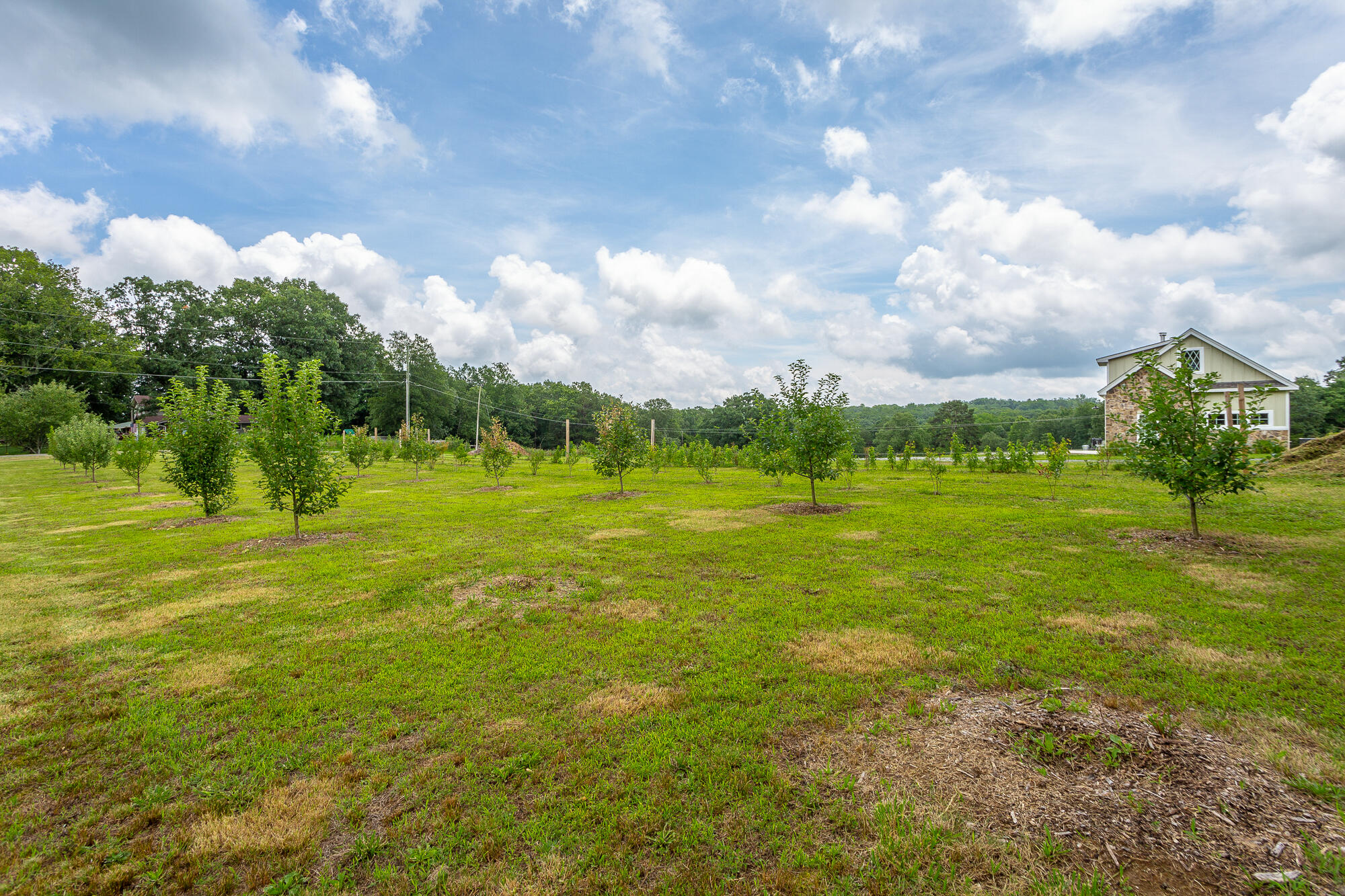 720 Miller Road Signal Mountain, TN 37377 - Photo 91 of 118 720 Miller Rd. HD-101