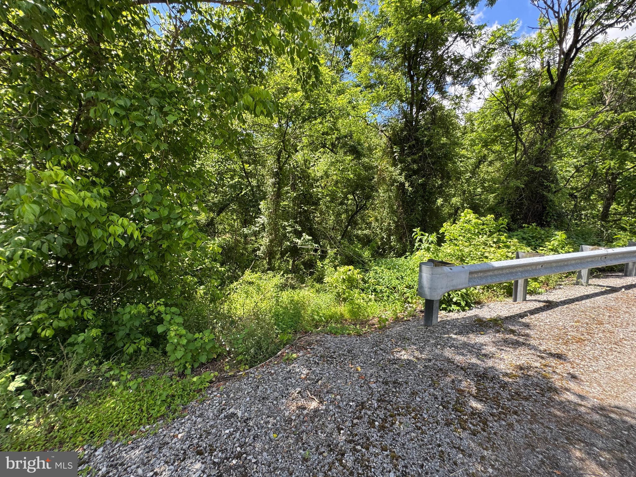 Sand Mine Rd Creek, Unit BY Berkeley Springs, WV 25411 - Photo 2 of 11