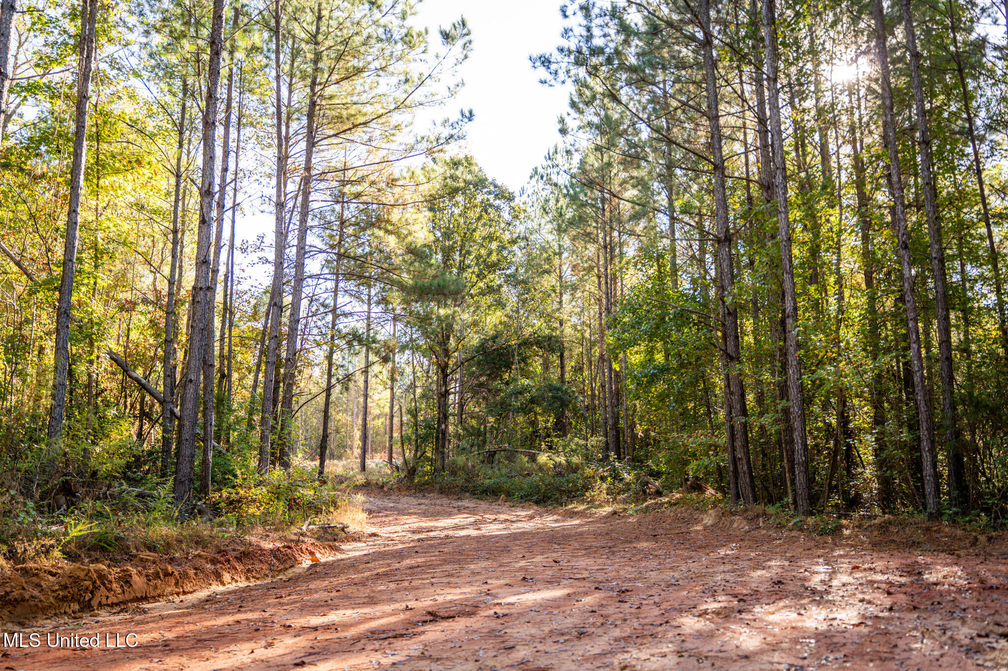 Long Creek Road Meridian, MS 39301 - Photo 14 of 15 DSC07462