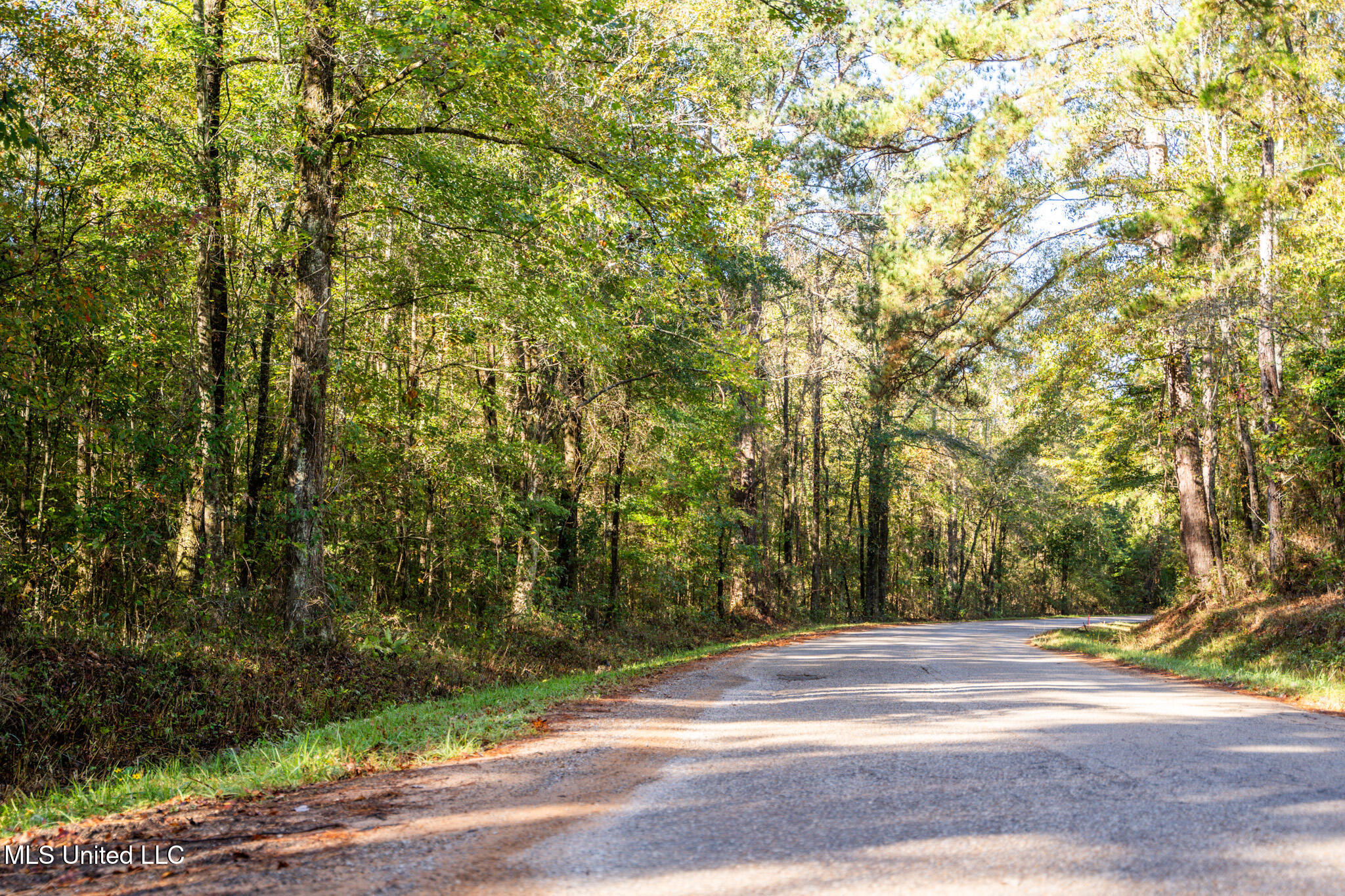 Long Creek Road Meridian, MS 39301 - Photo 15 of 15 DSC07464
