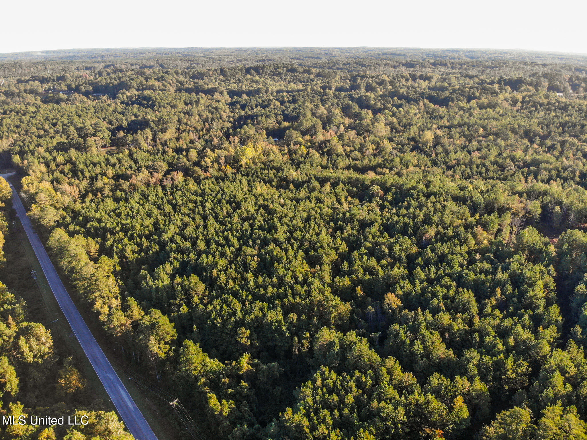 Long Creek Road Meridian, MS 39301 - Photo 2 of 15 DJI_0752
