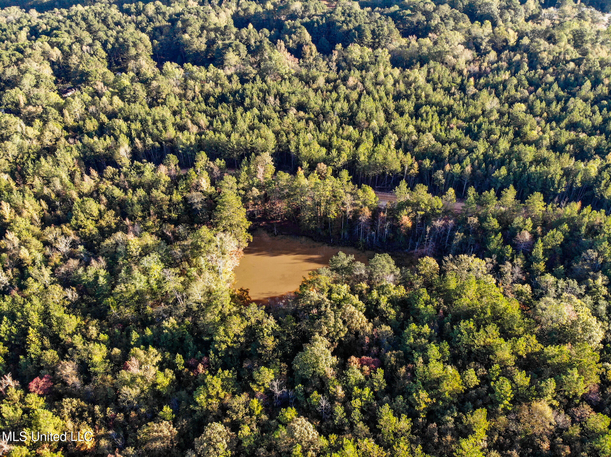 Long Creek Road Meridian, MS 39301 - Photo 6 of 15 DJI_0758