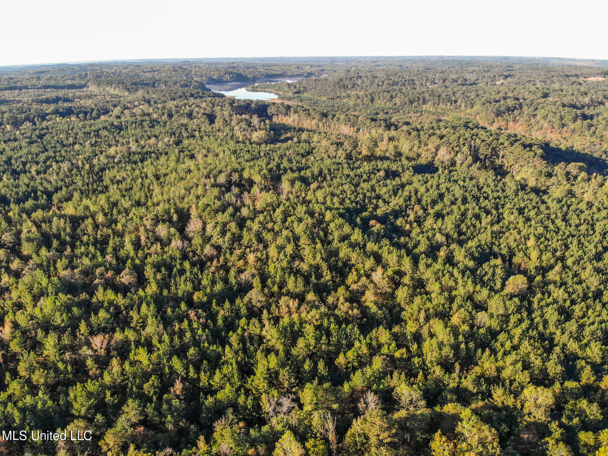 Long Creek Road Meridian, MS 39301 - Photo 8 of 15 DJI_0764