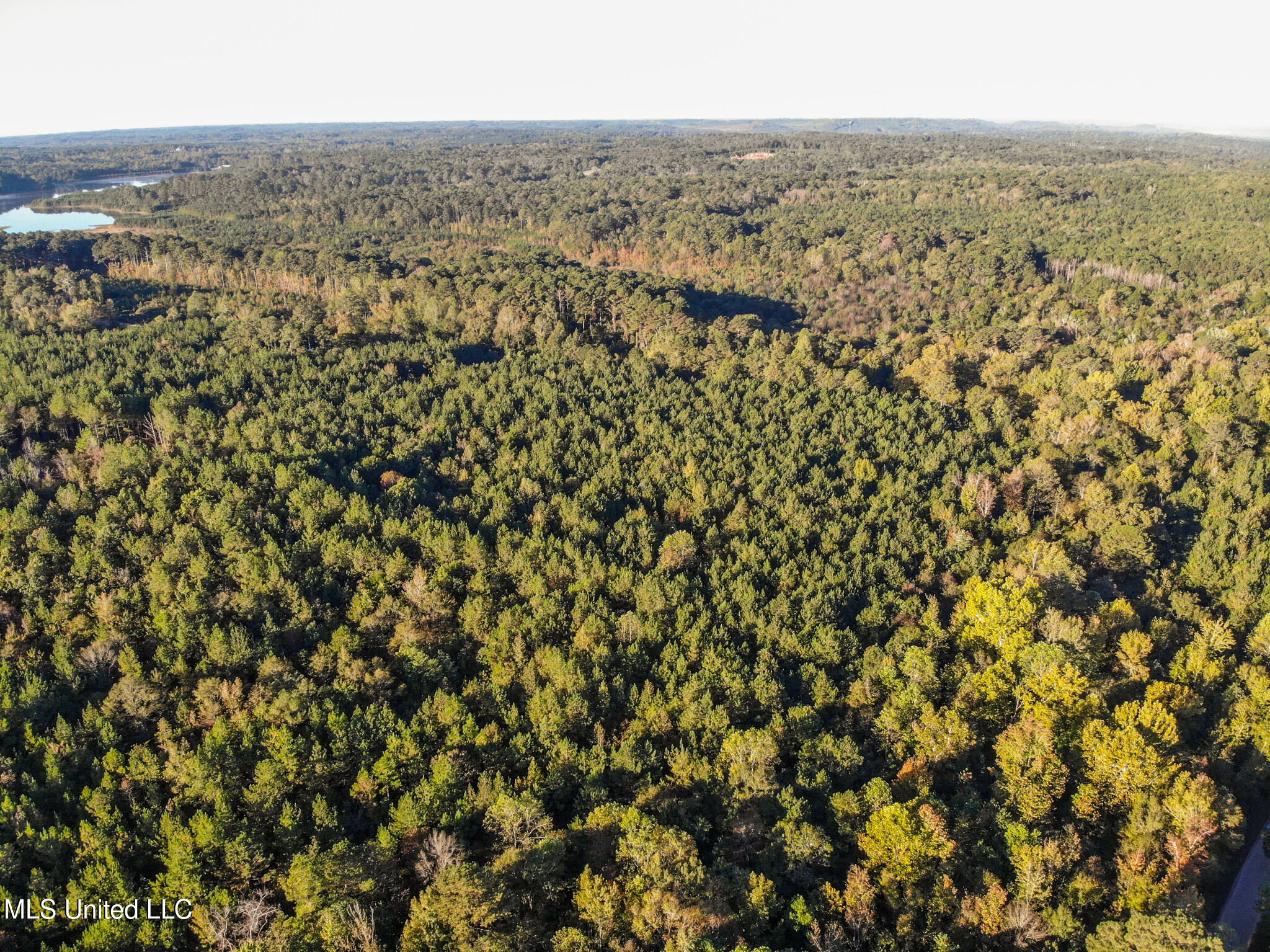 Long Creek Road Meridian, MS 39301 - Photo 9 of 15 DJI_0765