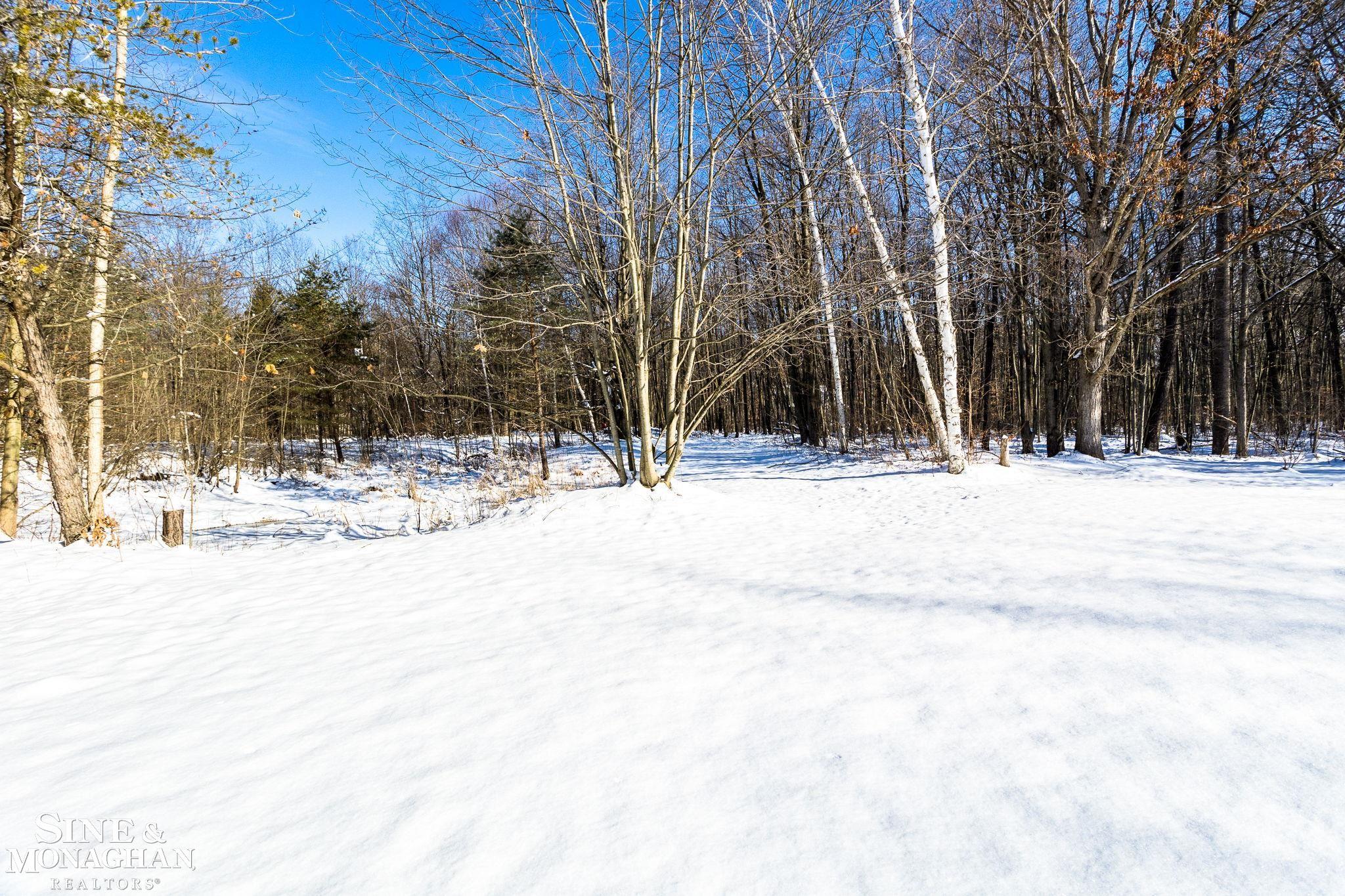 540 Nolan Road Goodells, MI 48027 - Photo 42 of 47