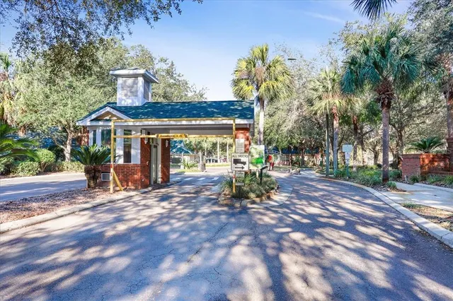a outdoor view with palm trees