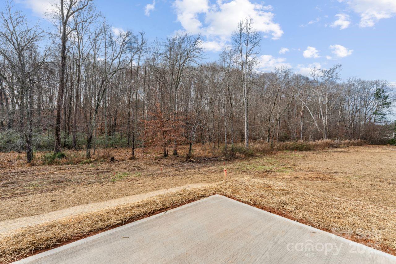 2605 Easter Street Maiden, NC 28650 - Photo 27 of 36 a view of a yard with trees