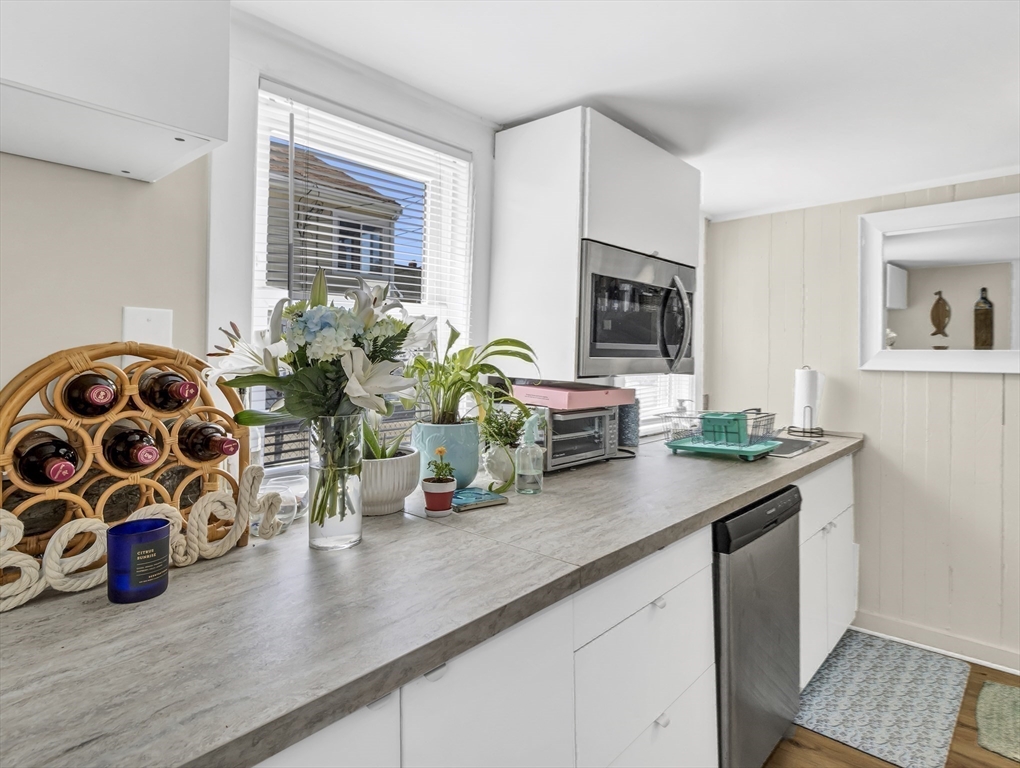 52 H Street Hull, MA 02045 - Photo 21 of 41 a kitchen with a sink and a potted plant