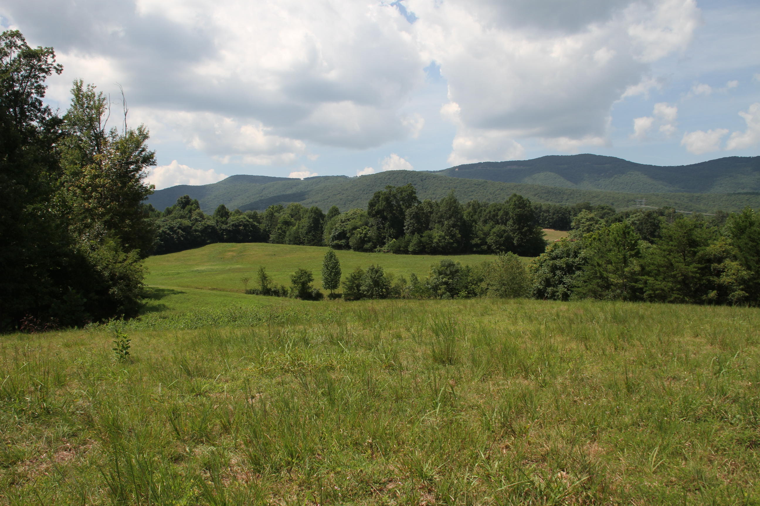 0 Carter Holw Road Blue Ridge, VA 24064 - Photo 11 of 17 a view of grassy field with mountain