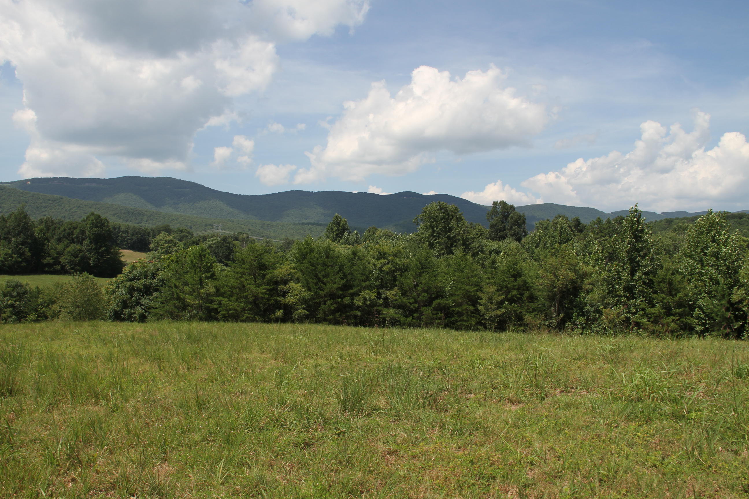 0 Carter Holw Road Blue Ridge, VA 24064 - Photo 12 of 17 a view of a big yard