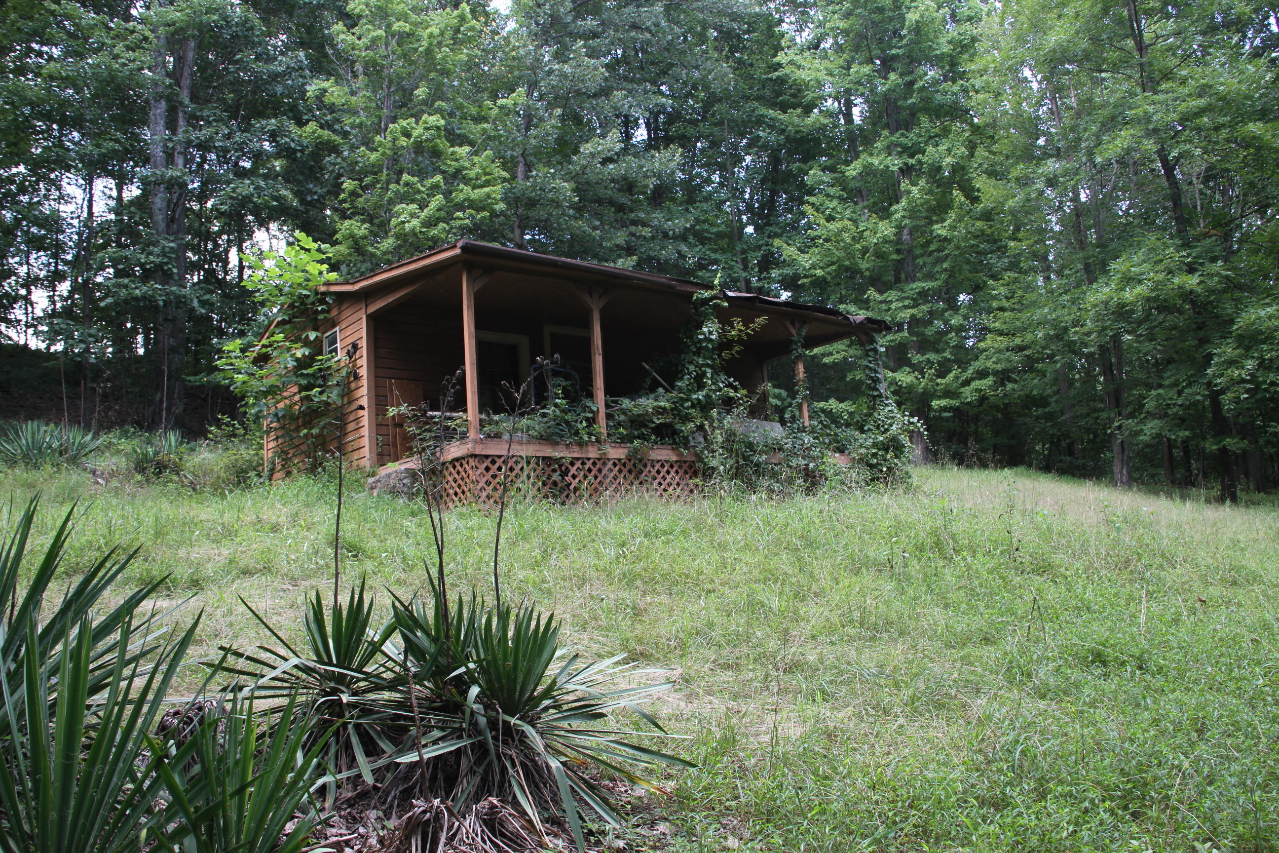 0 Carter Holw Road Blue Ridge, VA 24064 - Photo 14 of 17 a view of a garden with a tree
