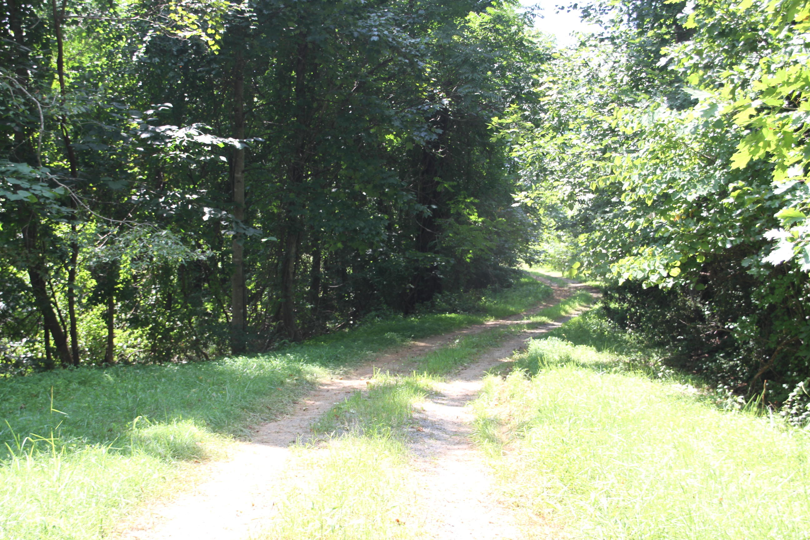 0 Carter Holw Road Blue Ridge, VA 24064 - Photo 2 of 17 a view of yard with green space